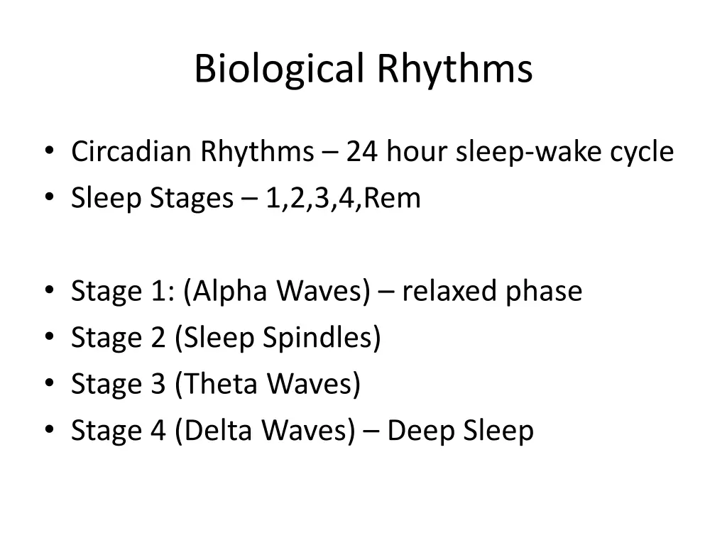 biological rhythms