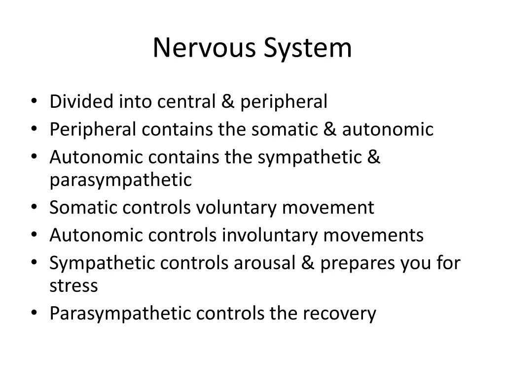 nervous system