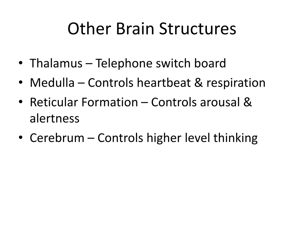 other brain structures