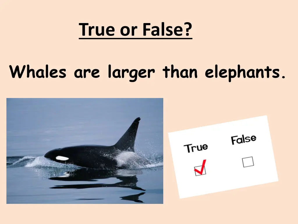 true or false 2