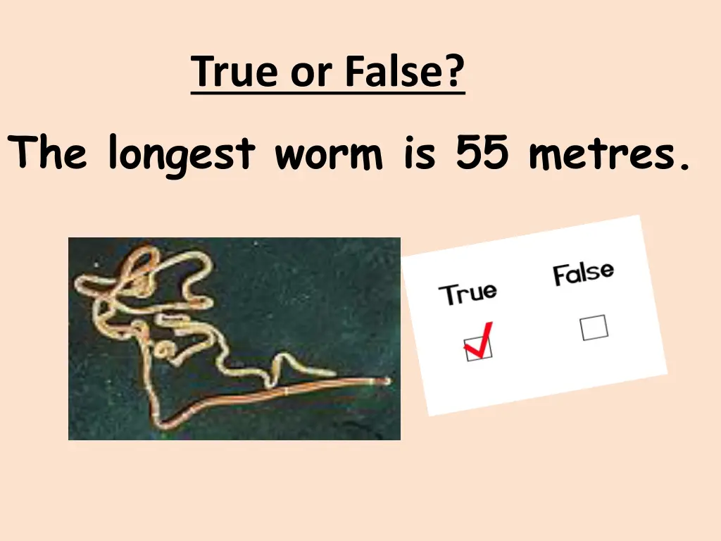 true or false 4