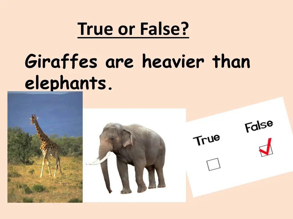 true or false 5
