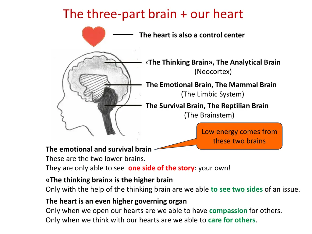 the three part brain our heart