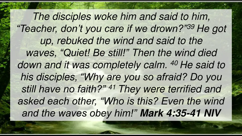 the disciples woke him and said to him teacher