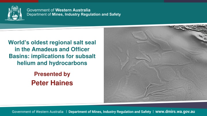 world s oldest regional salt seal in the amadeus