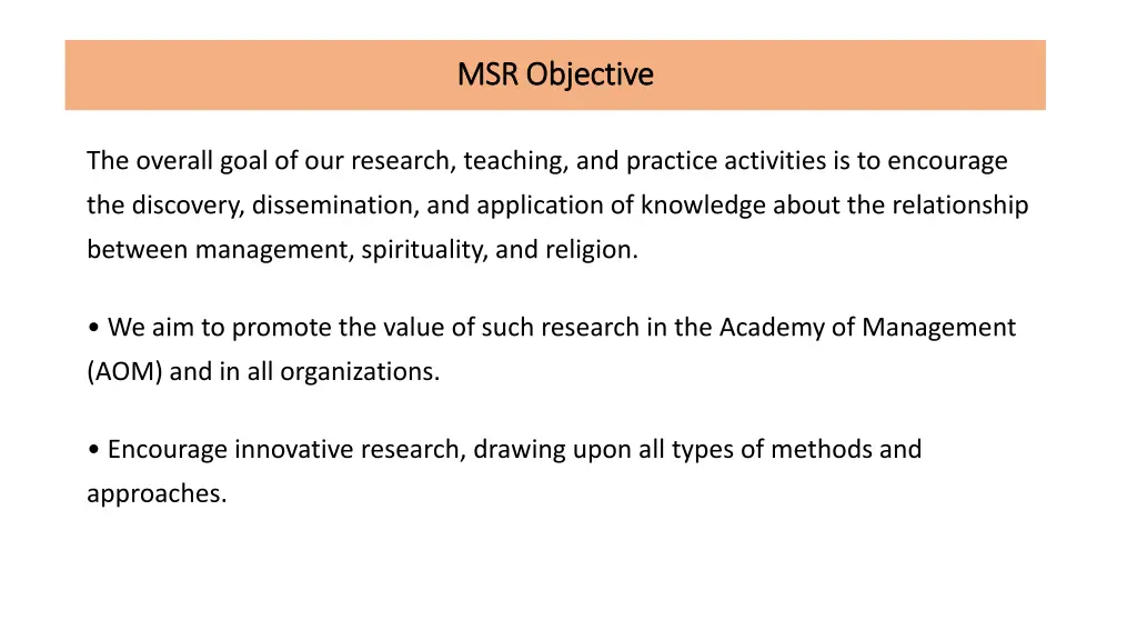 msr objective msr objective