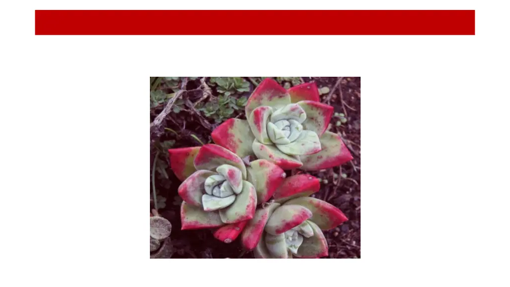 slide10