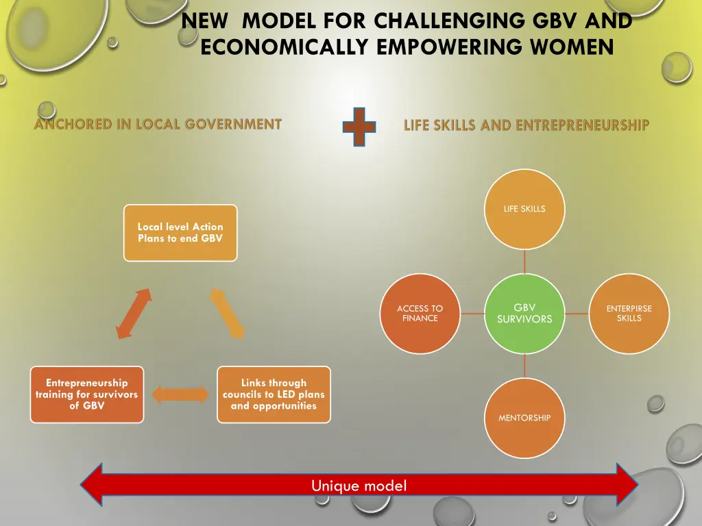 new model for challenging gbv and economically