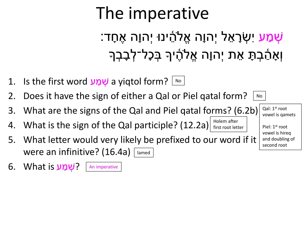 the imperative