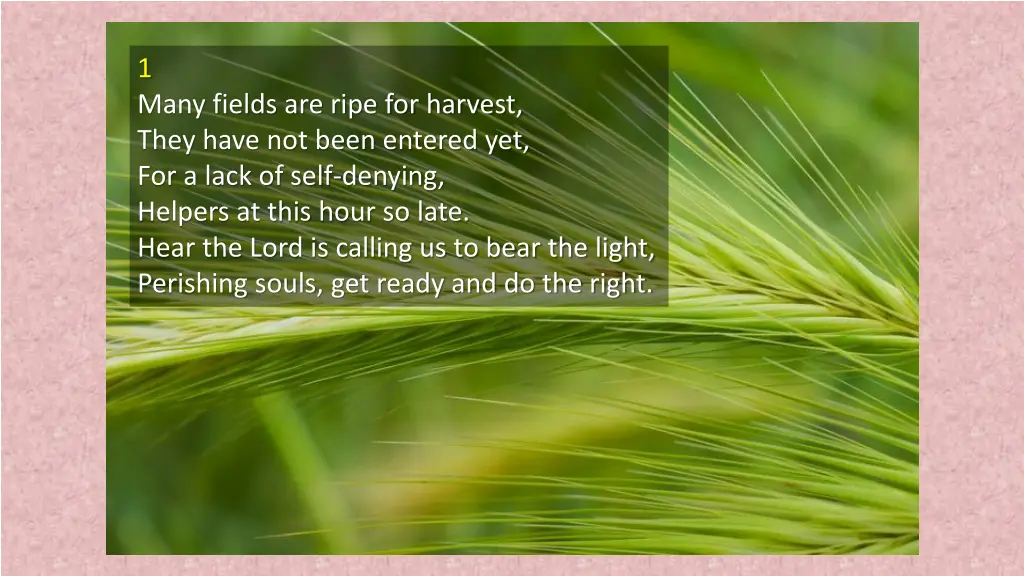 1 many fields are ripe for harvest they have