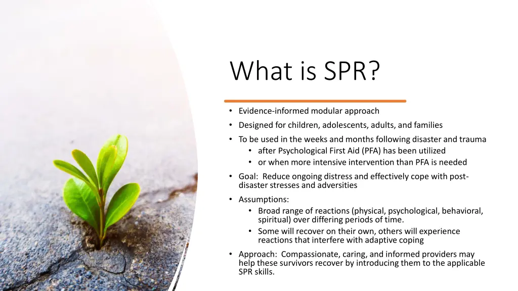 what is spr