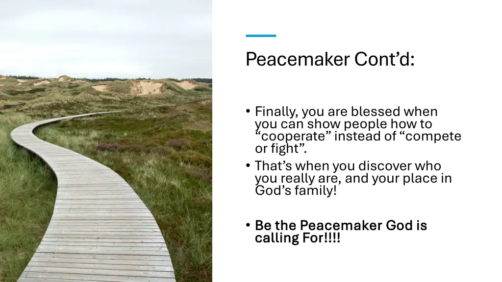 peacemaker cont d 4