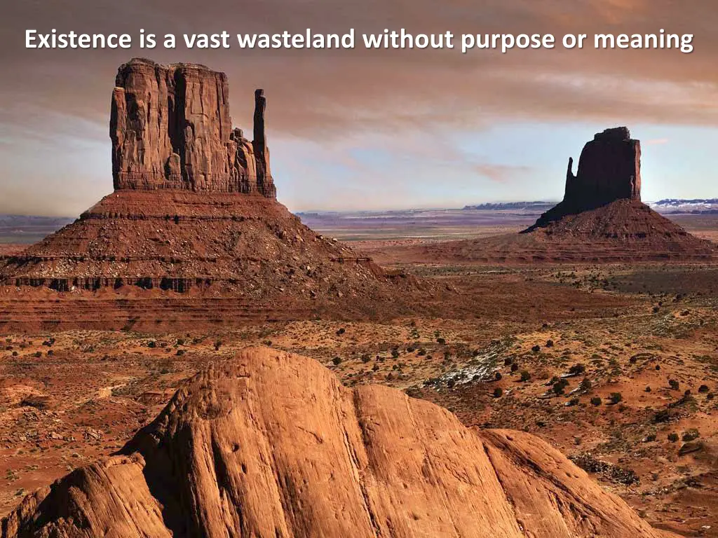 existence is a vast wasteland without purpose