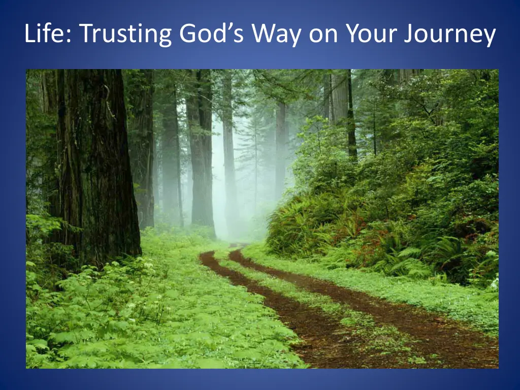 life trusting god s way on your journey