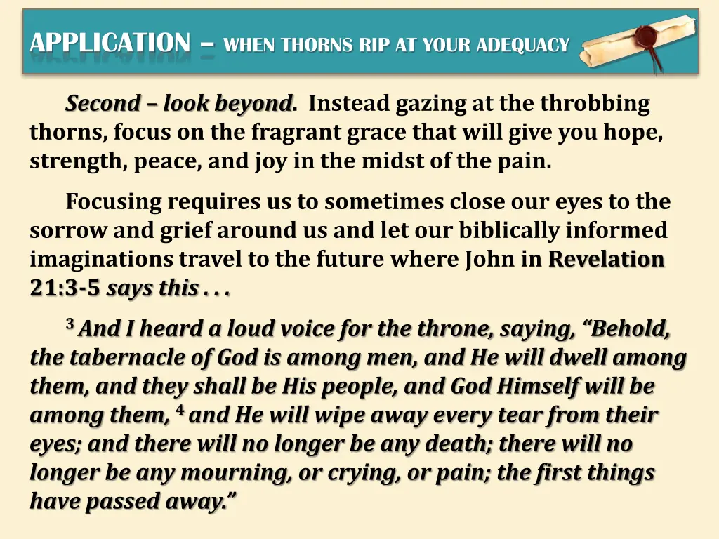 application when thorns rip at your adequacy 3