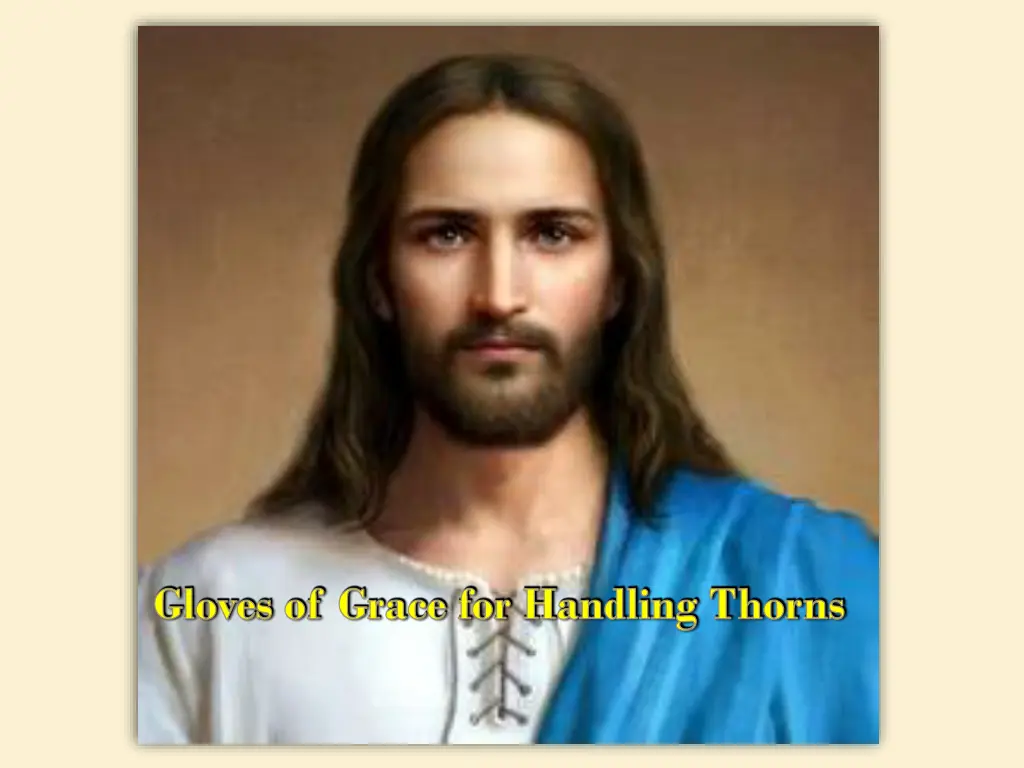 gloves of grace for handling thorns