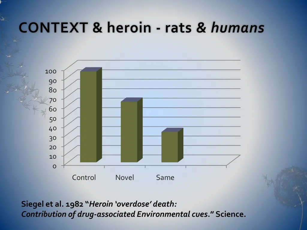 context heroin rats humans