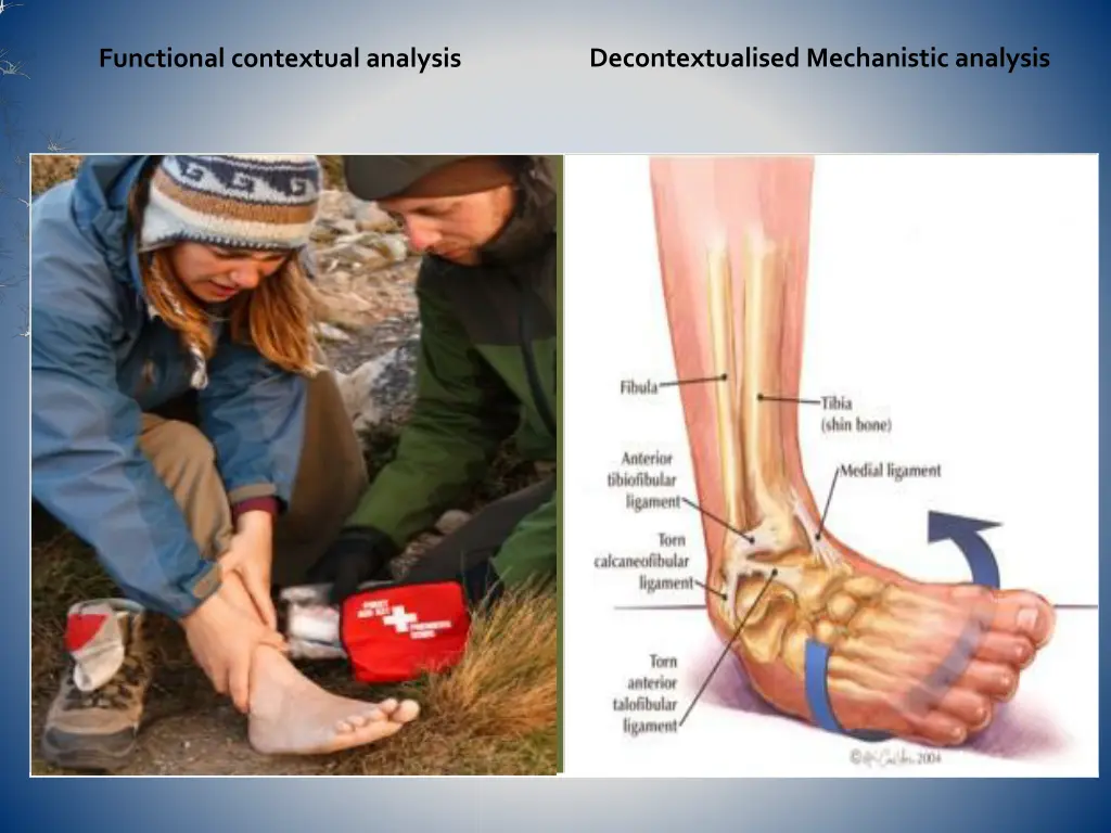 decontextualised mechanistic analysis