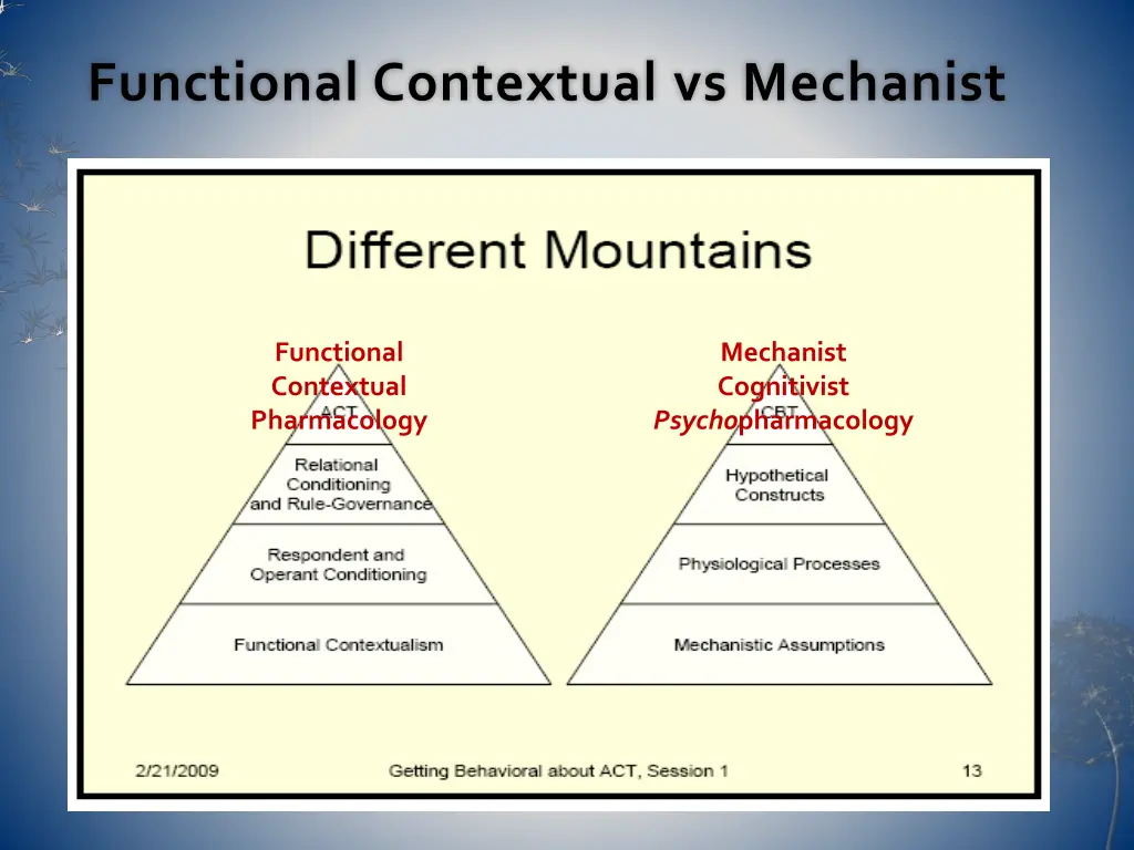 functional contextual vs mechanist