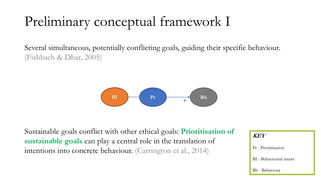 preliminary conceptual framework i