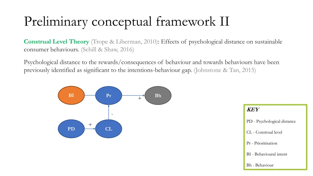 preliminary conceptual framework ii
