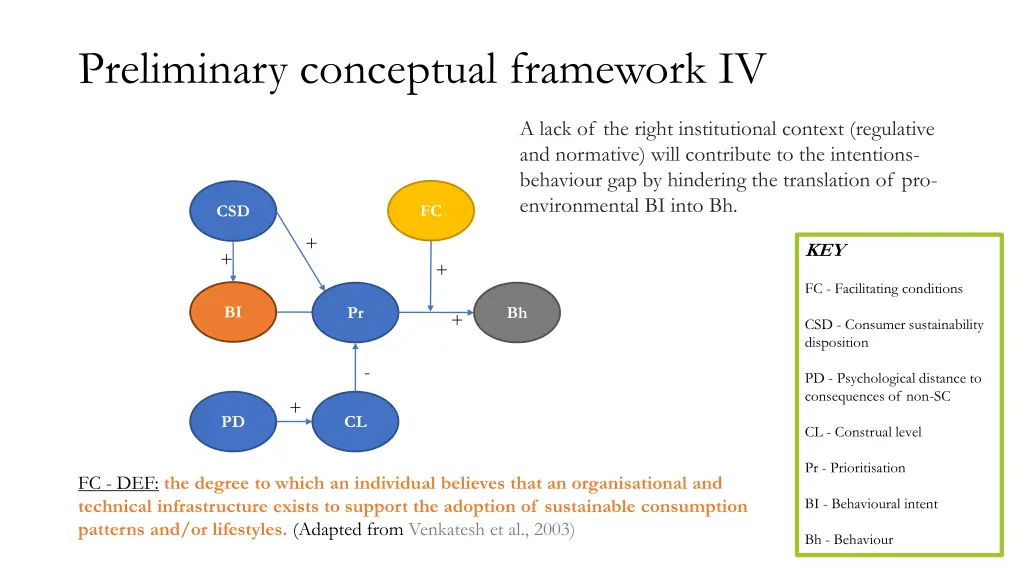 preliminary conceptual framework iv