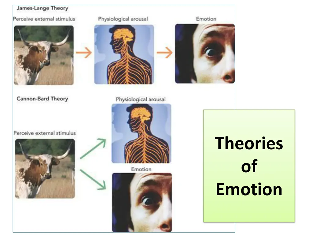 theories of emotion 1