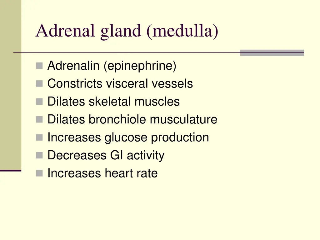 adrenal gland medulla