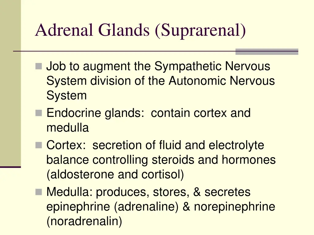 adrenal glands suprarenal