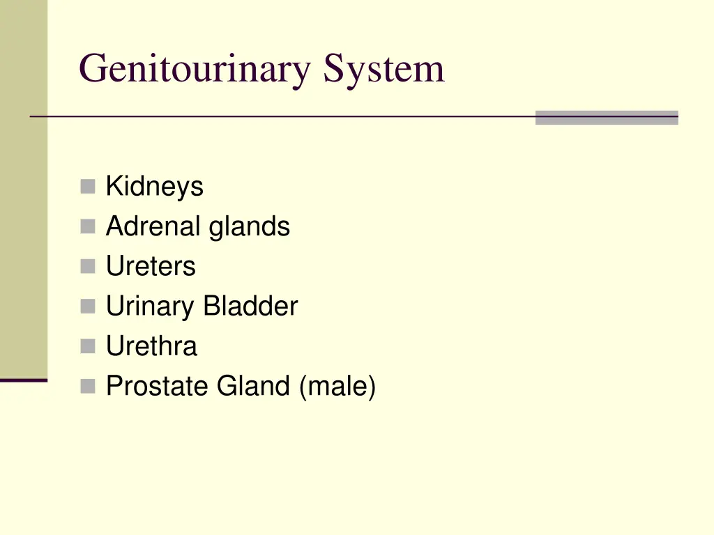 genitourinary system 1