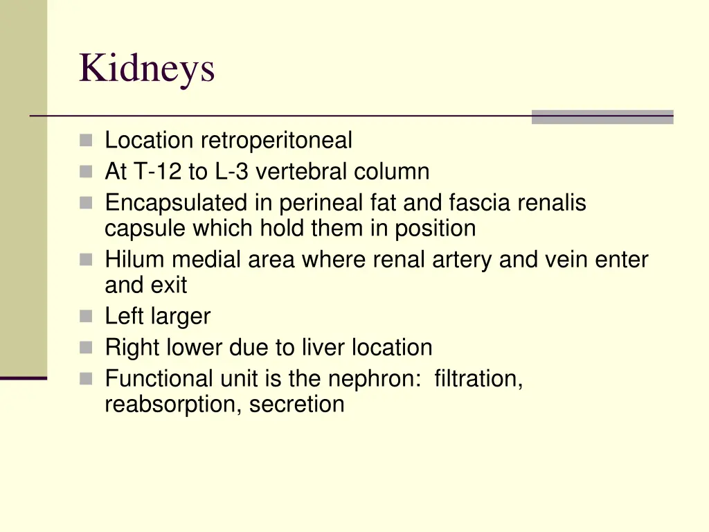 kidneys