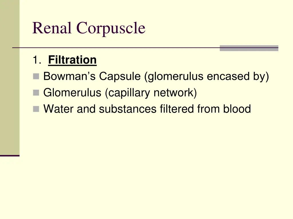 renal corpuscle