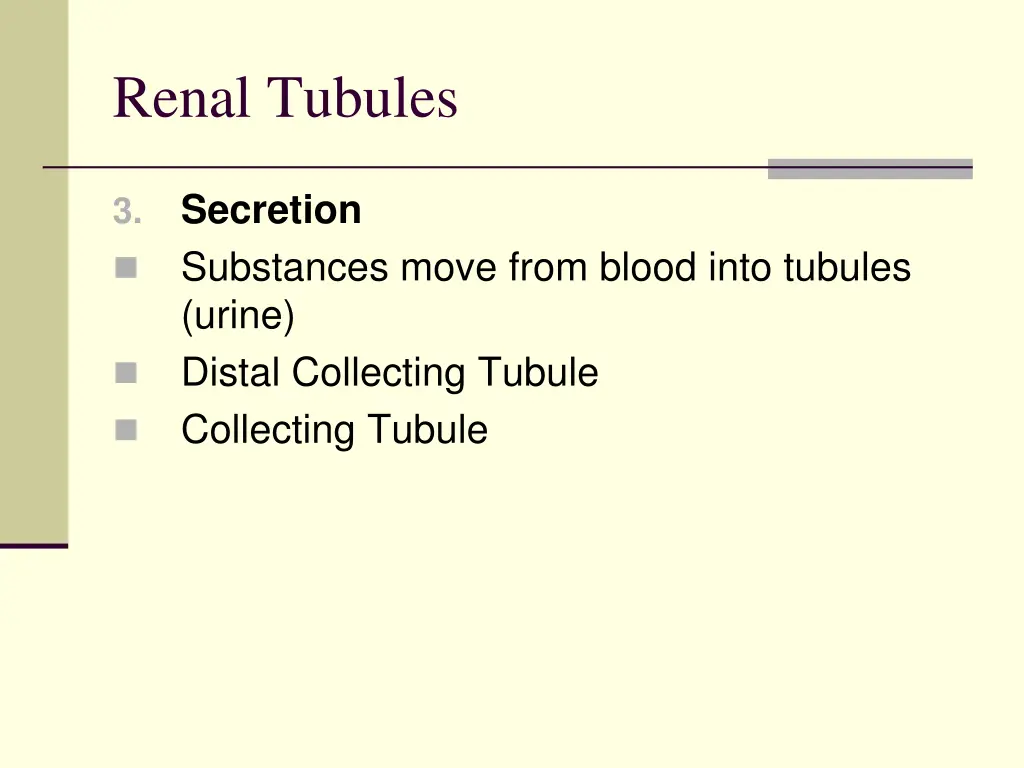 renal tubules 1