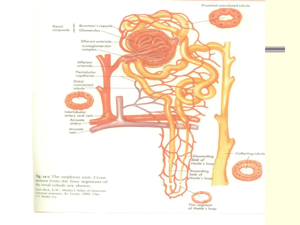 slide29