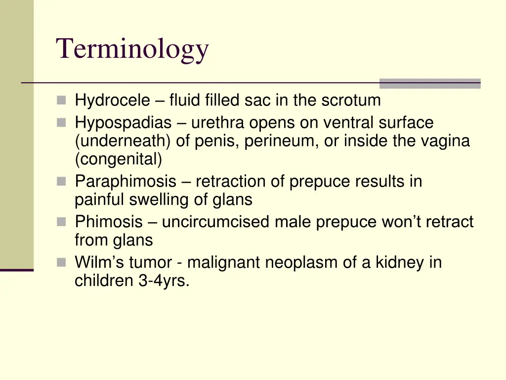 terminology 1