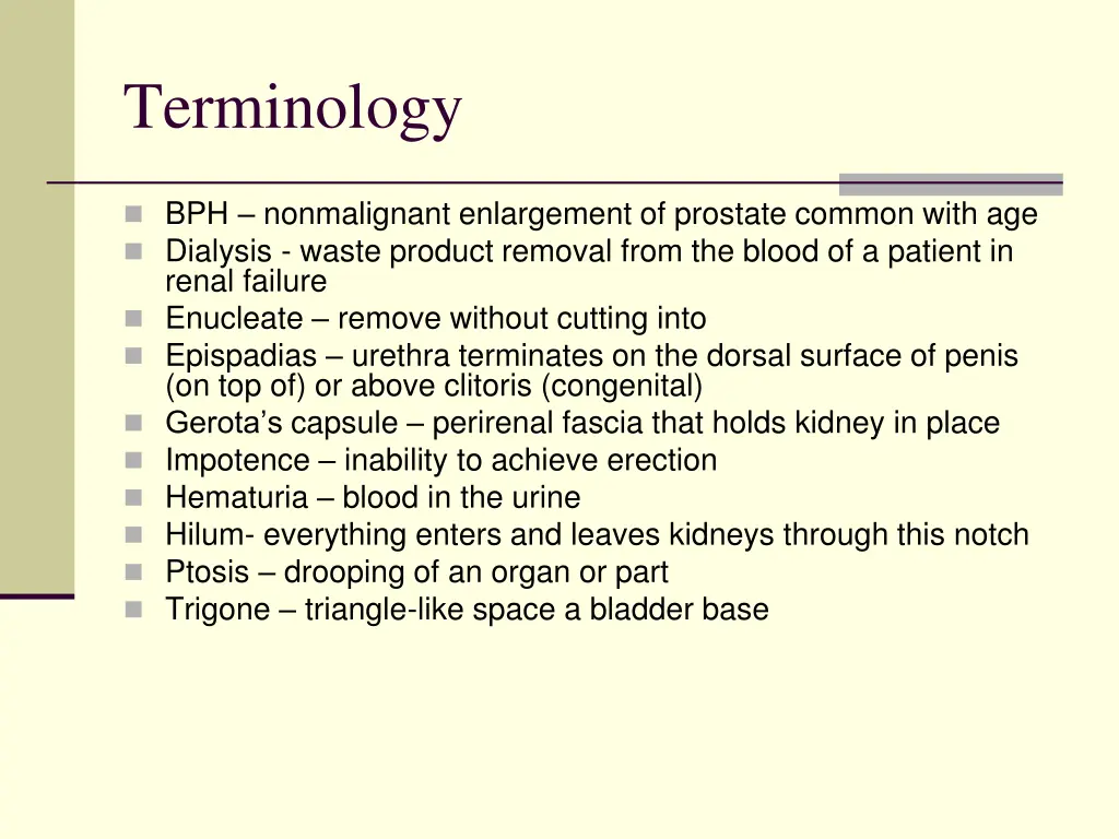 terminology