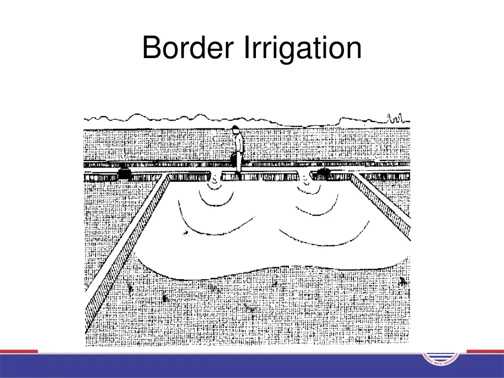 border irrigation