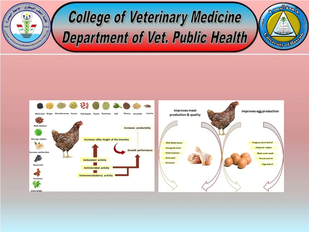 slide9