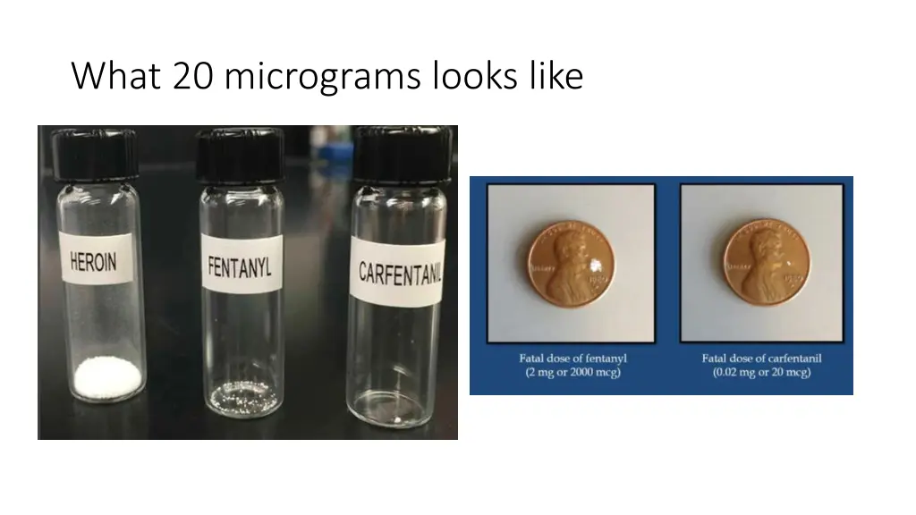 what 20 micrograms looks like