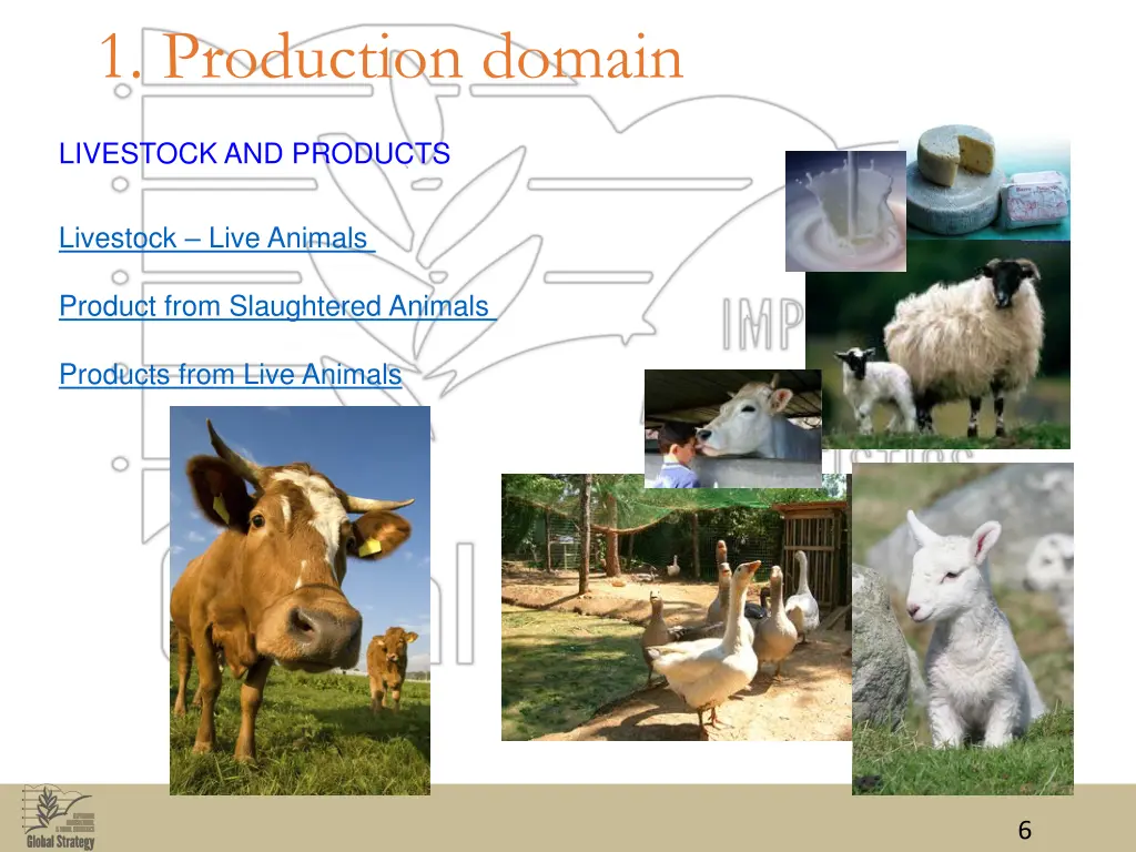 1 production domain 1