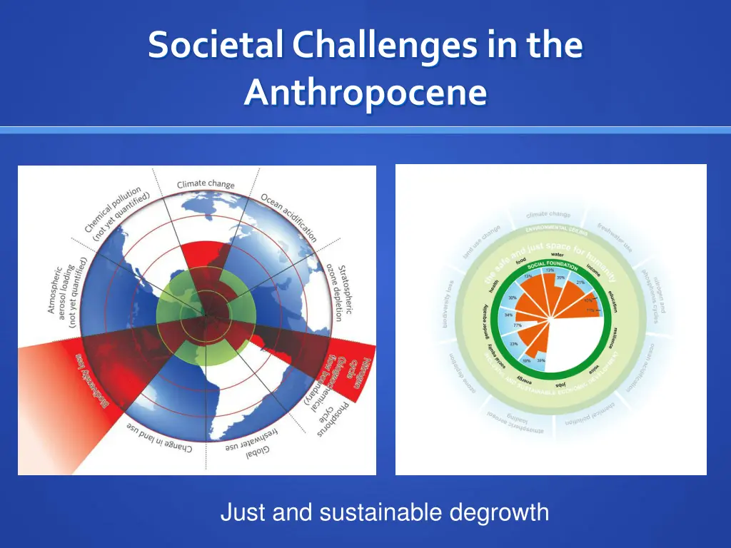 societal challenges in the anthropocene