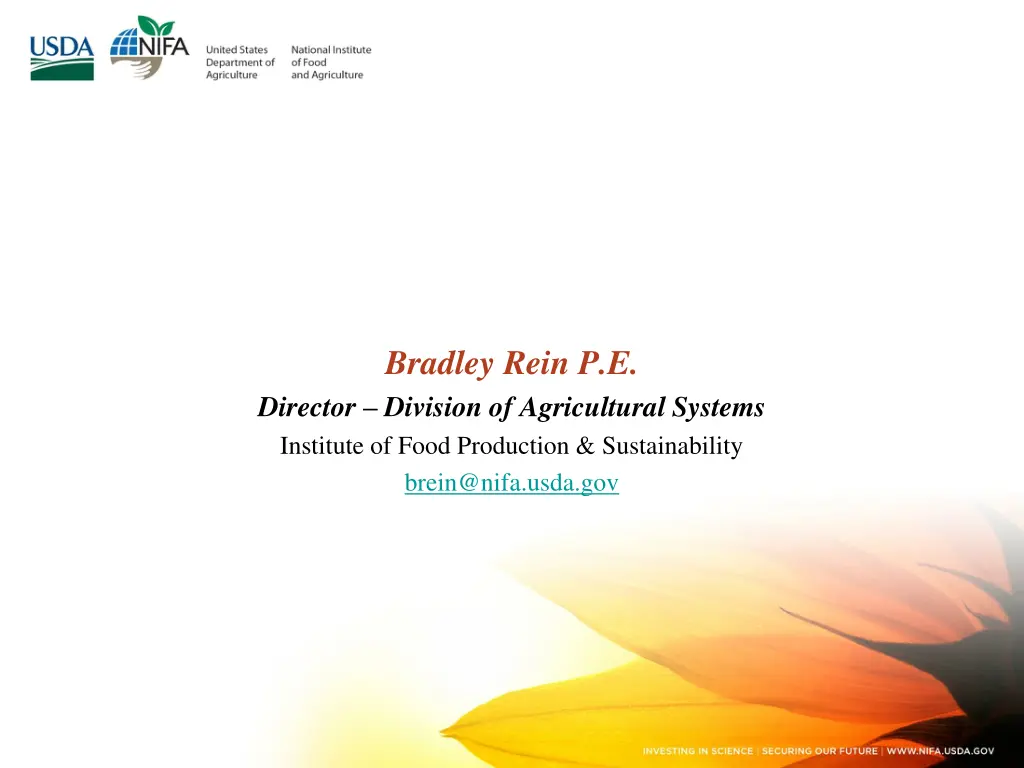 bradley rein p e director division