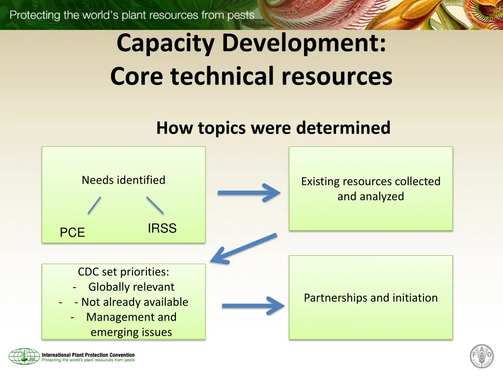 capacity development core technical resources