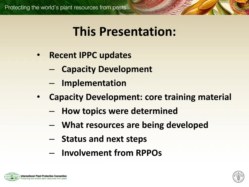 this presentation