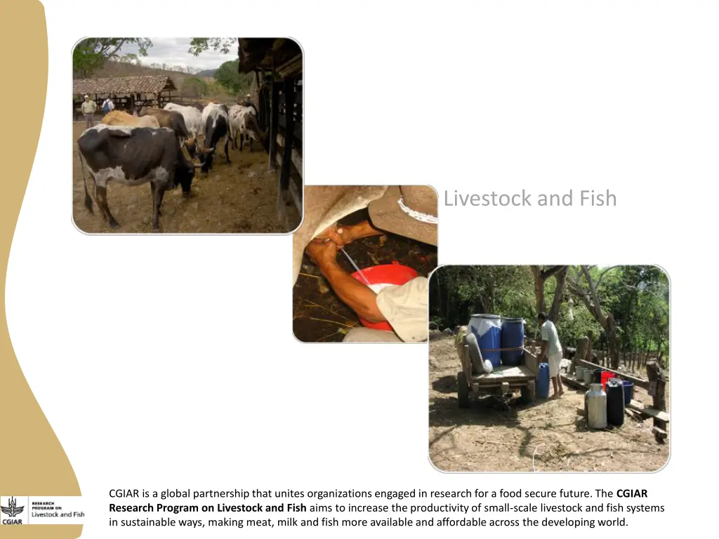 cgiar research program on livestock and fish