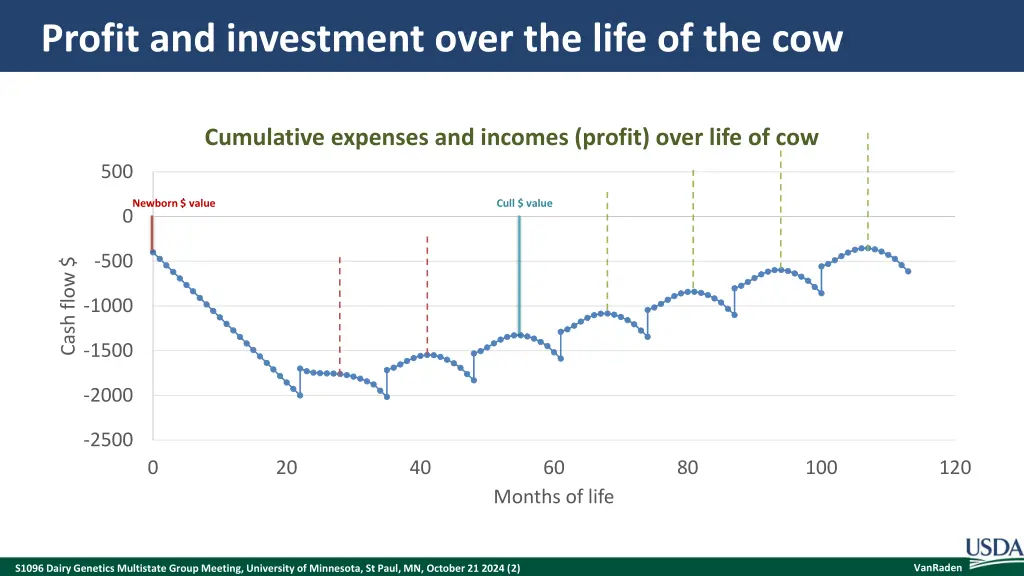 profit and investment over the life of the cow