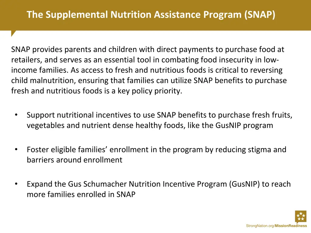 the supplemental nutrition assistance program snap
