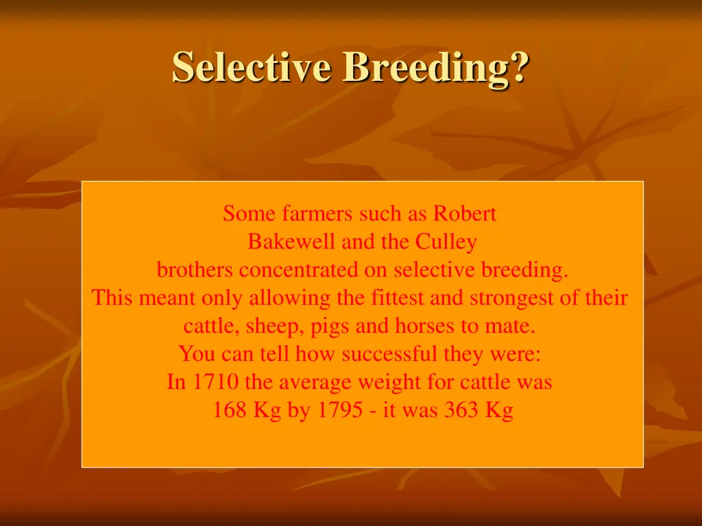 selective breeding