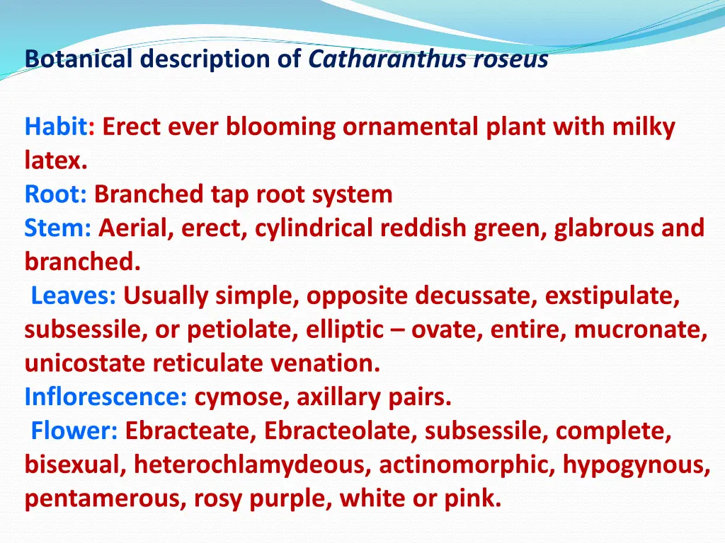 botanical description of catharanthus roseus