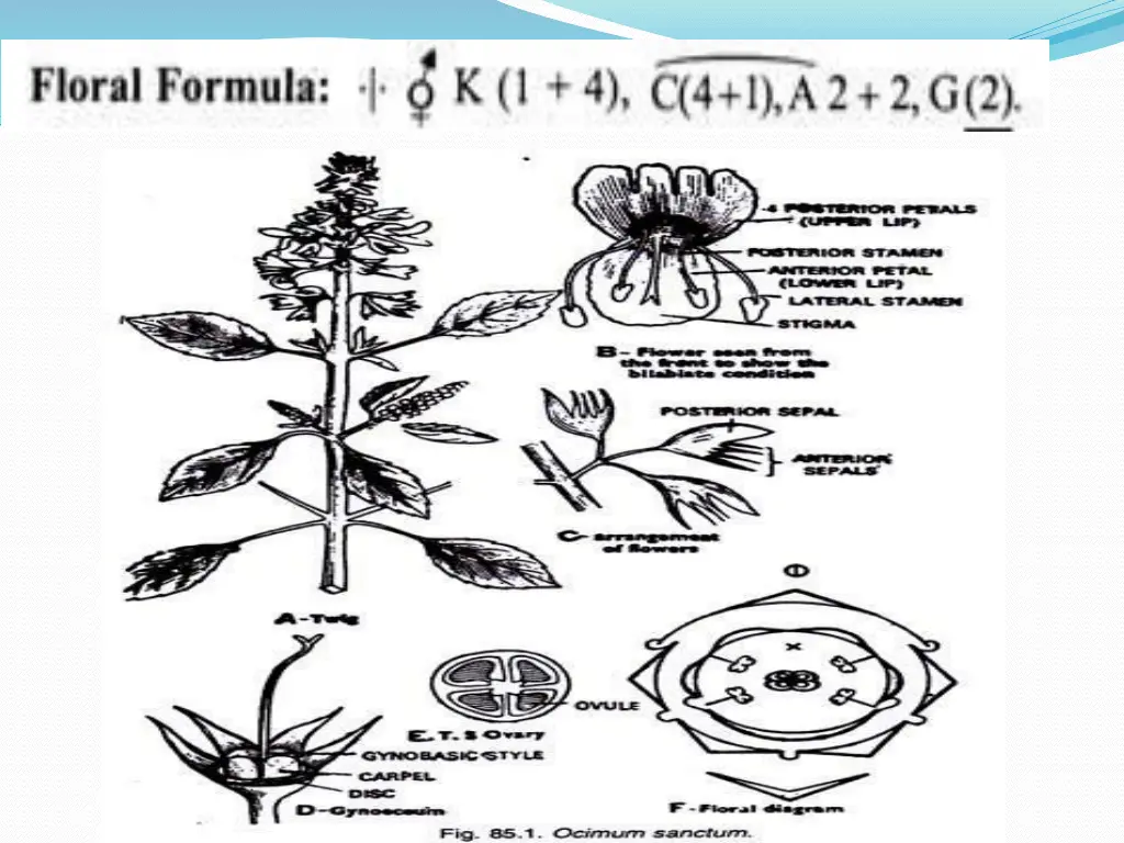 slide6